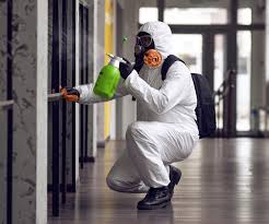 Best Asbestos and Lead Testing During Mold Inspection in Follansbee, WV